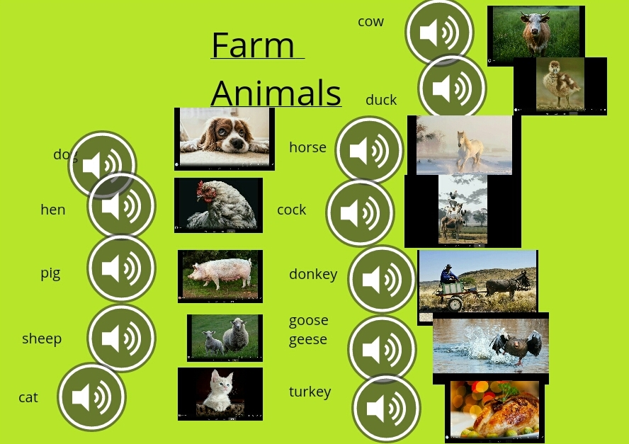 Digitale Medien_Grundschule In Bookcreator wurde ein Wörterbuch erstellt. Man sieht zum Beispiel einen Hund, daneben das Wort "dog" und einen Lautsprecher.