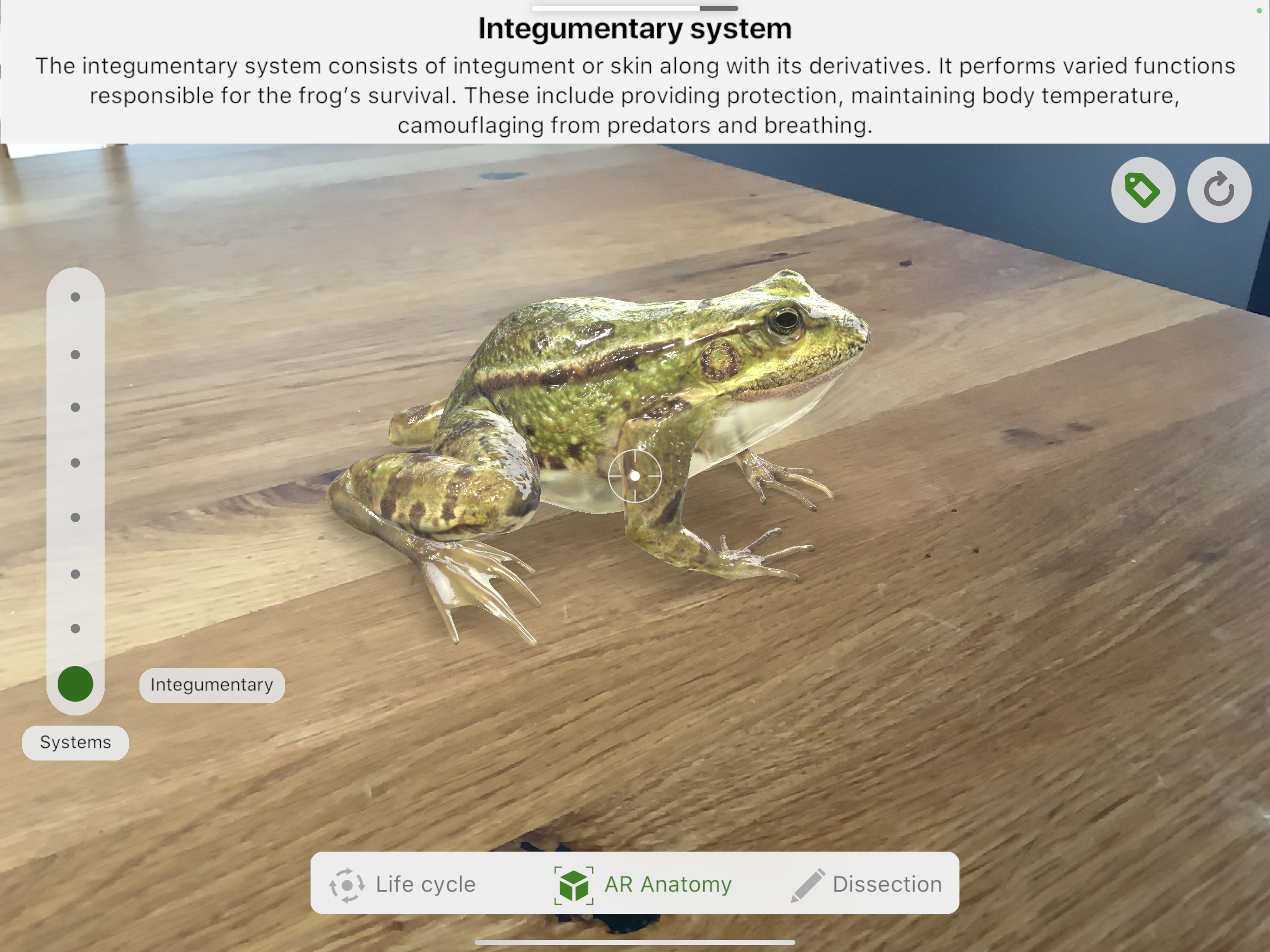 AR VR Biologieunterricht.PNG AR VR Biologie