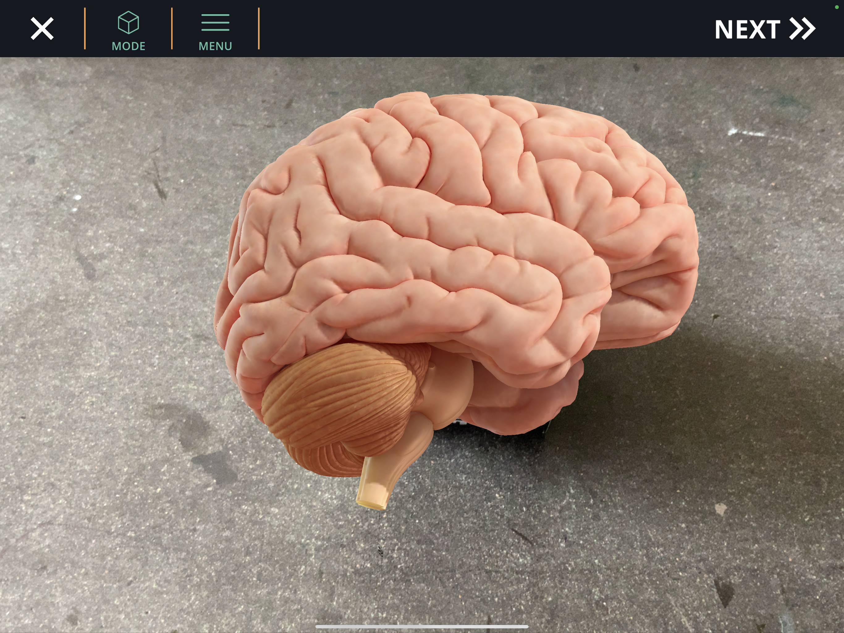 AR VR Biologieunterricht2 PNG AR VR Biologie