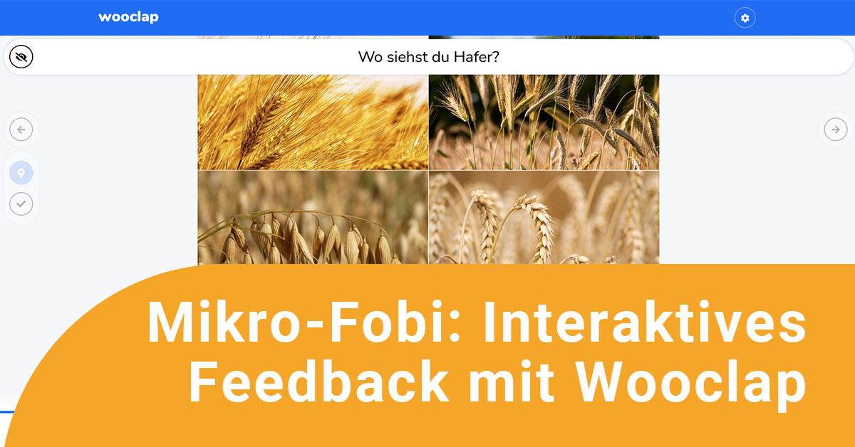 Mikro-Fortbildung Wooclap