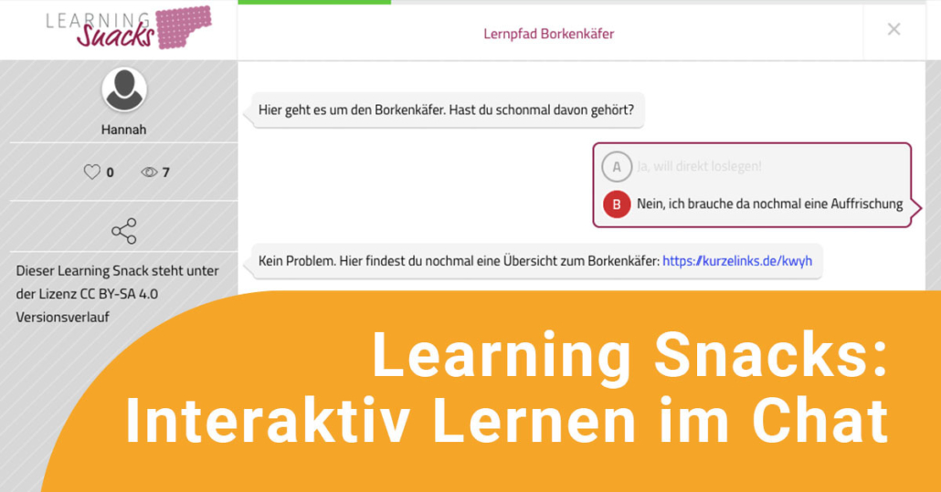Online-Fortbildung-LearningSnacks