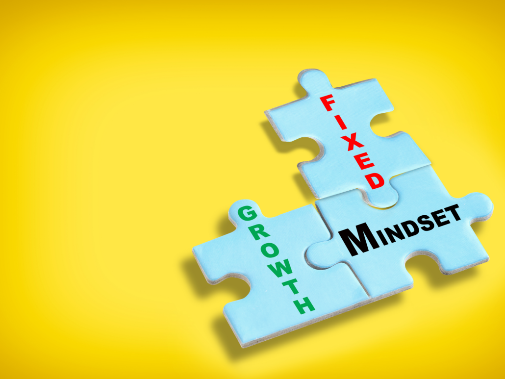 Interviewbild Online-Fortbildung Growth Mindset